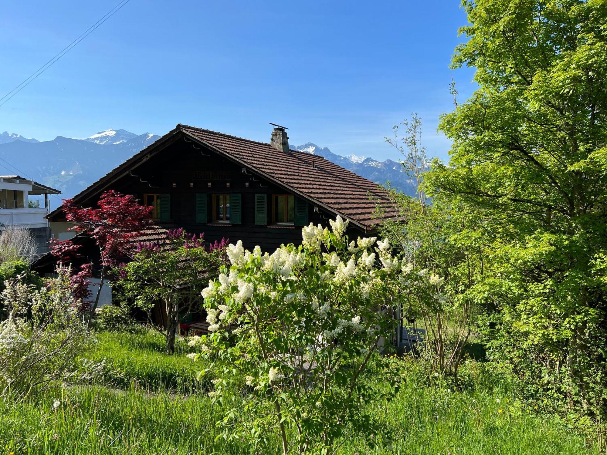 Chalet Friesli Beatenberg Eksteriør billede